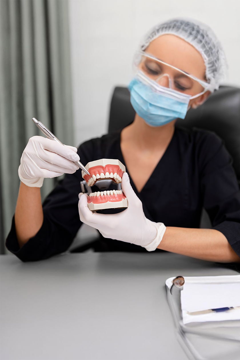 close-up-dentist-holding-teeth-model
